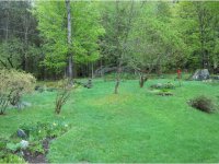 121 Wheatfield Drive