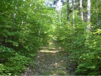 1584 Fletcher Schoolhouse Road