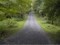 1584 Fletcher Schoolhouse Road