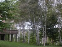 1584 Fletcher Schoolhouse Road