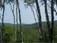 1584 Fletcher Schoolhouse Road