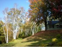 160 Cowdrey Path