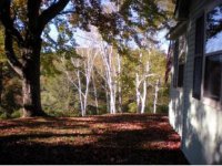 160 Cowdrey Path