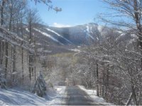 1198 Roaring Brook Road