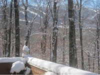 1198 Roaring Brook Road