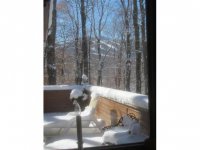 1198 Roaring Brook Road