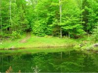 1178 Mecawee Road