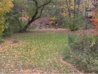 5, Unit 2 Mountain Avenue