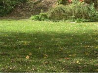 5, Unit 2 Mountain Avenue