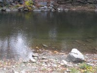 5, Unit 2 Mountain Avenue