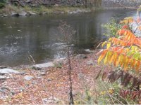 5, Unit 2 Mountain Avenue