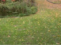 5, Unit 2 Mountain Avenue