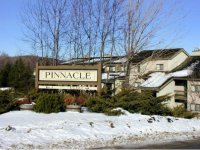 203 Old Mill Road, Pinnacle
