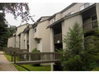 203 Old Mill Road, Pinnacle