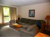 203 Old Mill Road, Pinnacle