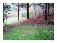 359 Silver Spring Hill Road