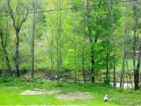 5699 West Woodstock Road Woodbridge Condominiums