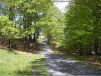 115 Eastman Road