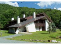 2358 Route 100 Wintergreen