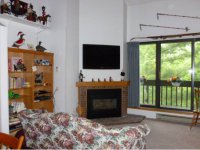 E-20 Old Mill Road Pinnacle