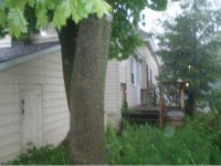 39 Forest Street