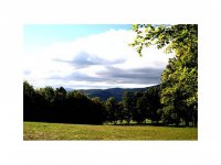 151 Sawmill Rd.