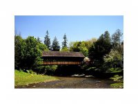 151 Sawmill Rd.