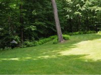 203 Cannon Drive