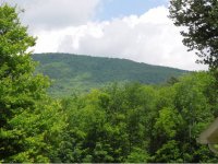 203 Cannon Drive