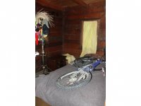 1082 Roaring Brook