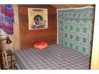1082 Roaring Brook