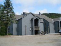 48 BRAD MEADE SLOPESIDE