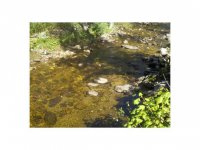 120 Black River Road (PVT)