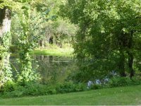 198 North Main Street Pond Meadow