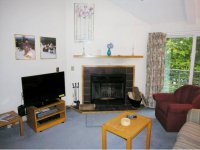 329 Village Circle The Woods