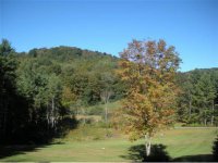 704 Austin Road