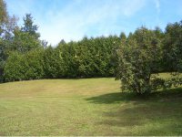 798 Gleason Road