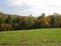 345 Gabert Road
