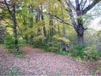 345 Gabert Road