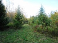 345 Gabert Road