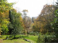 345 Gabert Road