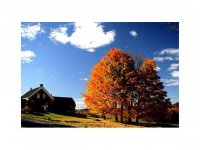 136 English Mills Way