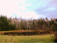 1302 Oak Lodge Road