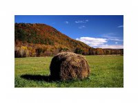5683/A-1 West Woodstock Road
