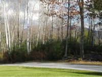 1684 McKinley Avenue Thorn Apple Farms