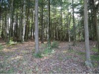 1684 McKinley Avenue Thorn Apple Farms
