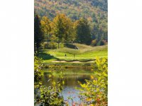 1528 Messer Hill Road none