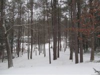 642 Colonial Dr
