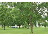 540 North Hollow Road