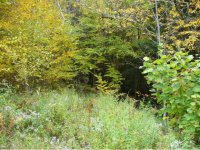 6603 Dunham Hill